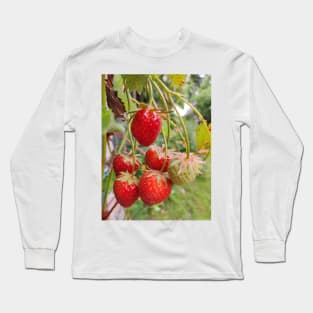 Strawberries Long Sleeve T-Shirt